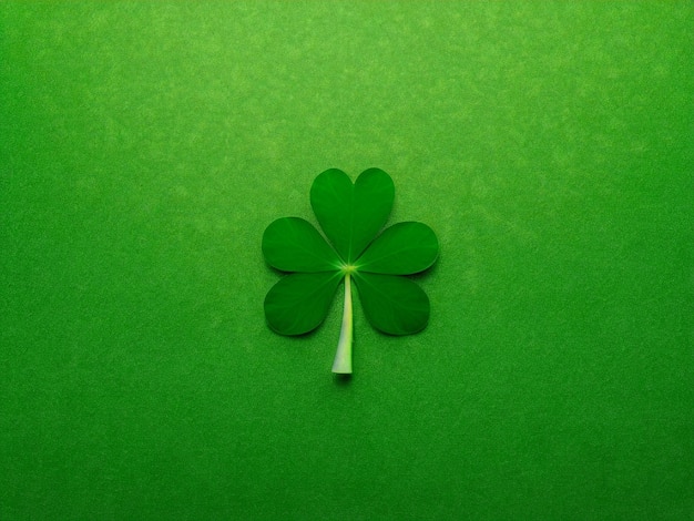 Un trifoglio verde con quattro foglie su sfondo verde perfetto per le celebrazioni del giorno di San Patrizio