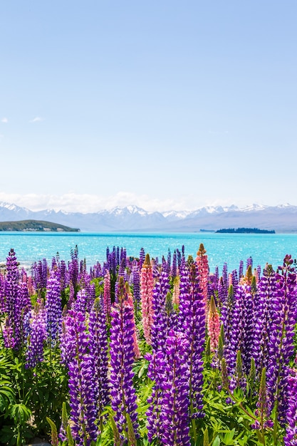 Un tripudio di colori sulle rive di un lago