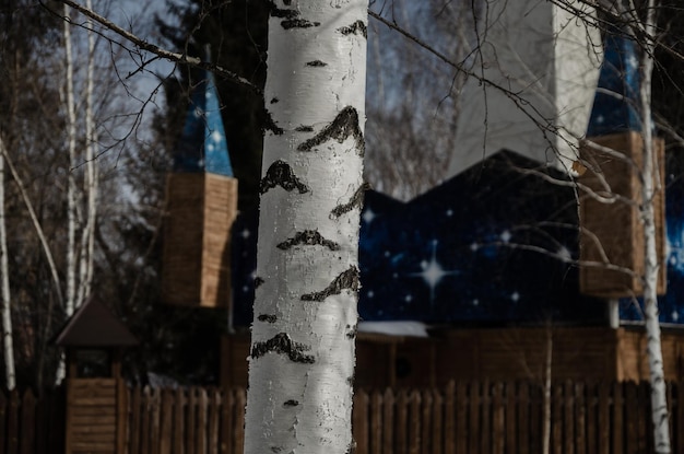 Un tronco d'albero con sopra una bandiera blu