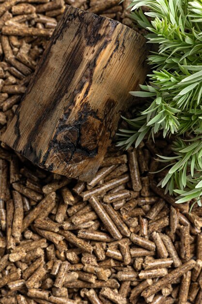 Un tronco di legno con accanto un pezzo di legno e un ceppo di legno con una pianta verde sullo sfondo.