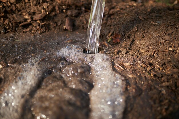 un tubo da cui sgorga un getto di acqua pulita per annaffiare i giovani alberi