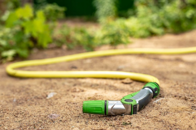 Un tubo di gomma con un dispositivo per spruzzare e innaffiare la vegetazione con acqua giace su un sentiero sabbioso