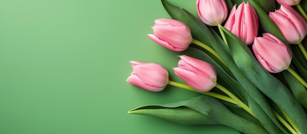 Un tulipano rosa con foglie verdi