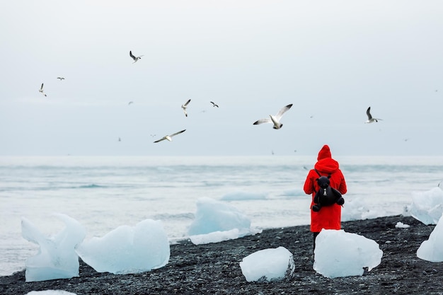 Un turista in una giacca rossa guarda i gabbiani sulla laguna glaciale di Diamond Beach Jokulsarlon Islanda