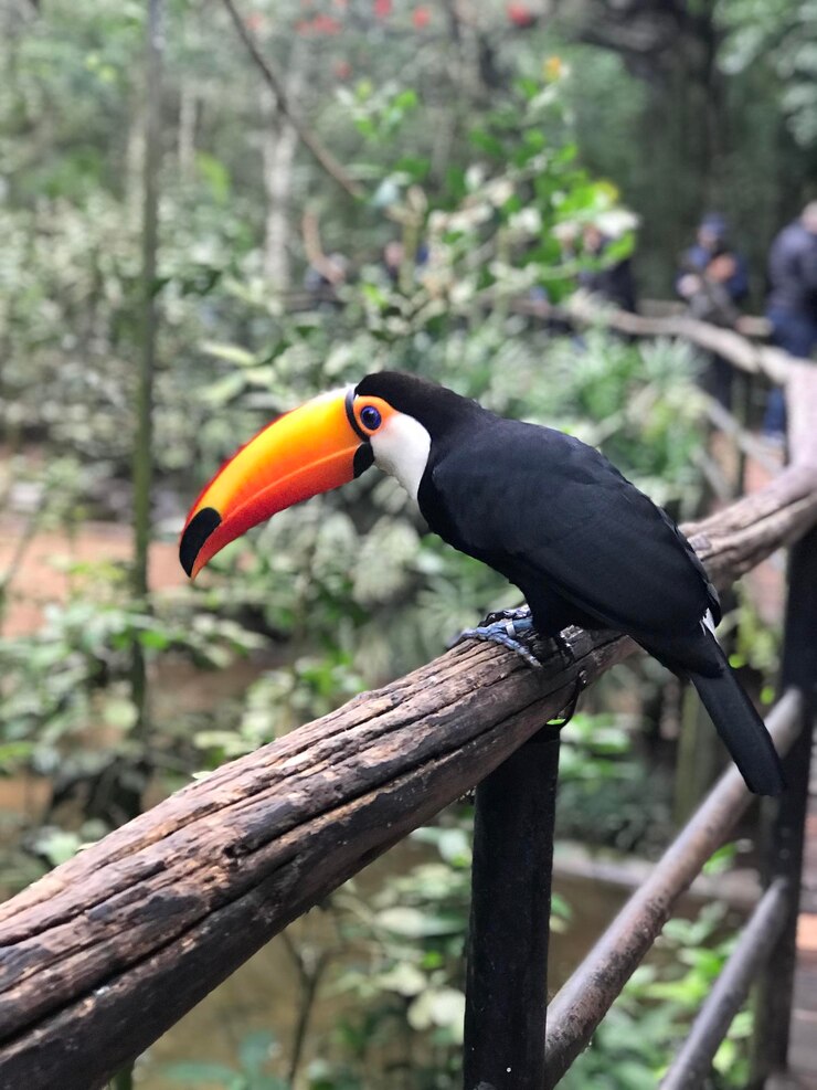 Foto un uccello appoggiato su un albero