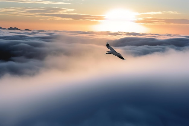 Un uccello che vola sopra la nuvola