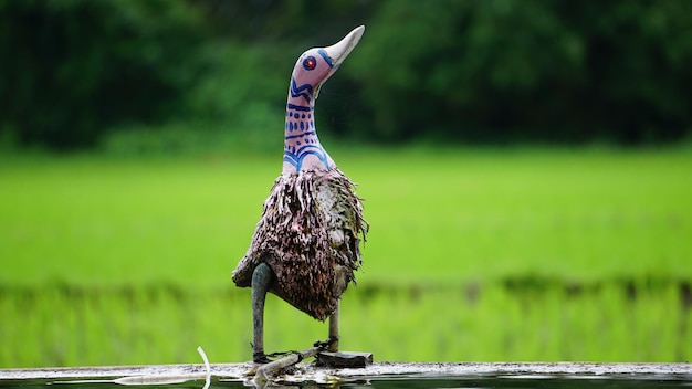 Un uccello con la parola "emu" sopra