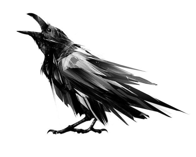 Un uccello corvo disegnato su uno sfondo bianco