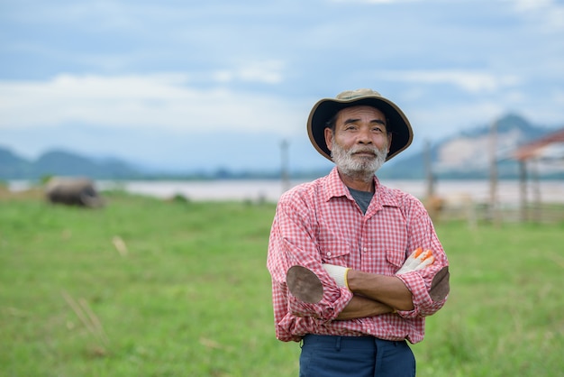 Un uomo anziano sorridente felice che è un coltivatore senior asiatico che esamina le foglie del cereale