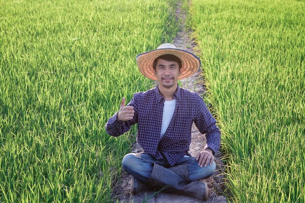 Un uomo asiatico che indossa una camicia a righe blu è seduto felicemente e fa il pollice in alto nel campo di riso.