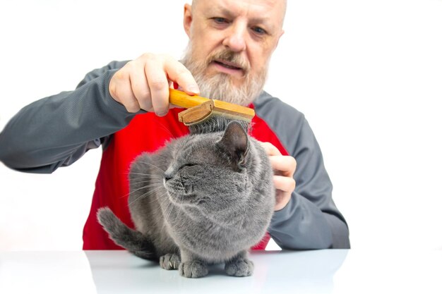 Un uomo barbuto pettina la pelliccia di un gatto grigio con un pennello su uno sfondo bianco