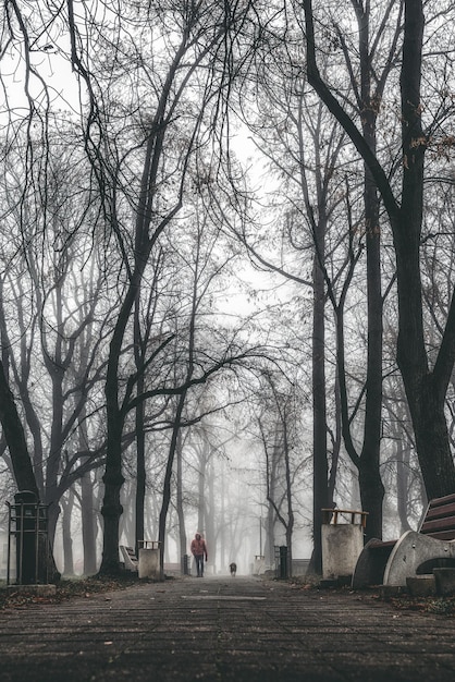 Un uomo che cammina con un cane nel nebbioso parco autunnale al mattino