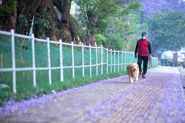 Un uomo che cammina con un cane su una strada sterrata con una recinzione sullo sfondo.