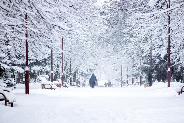 Un uomo che cammina per strada nella neve invernale Bella sulla vista della gente dal retro in caso di nevicate