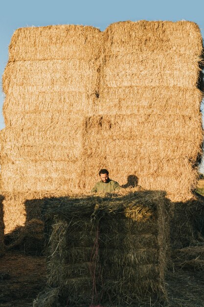 Un uomo che lavora all'alba sotto un grande mucchio di balle di fieno d'avena