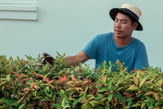 Un uomo che pota si ramifica nel giardino