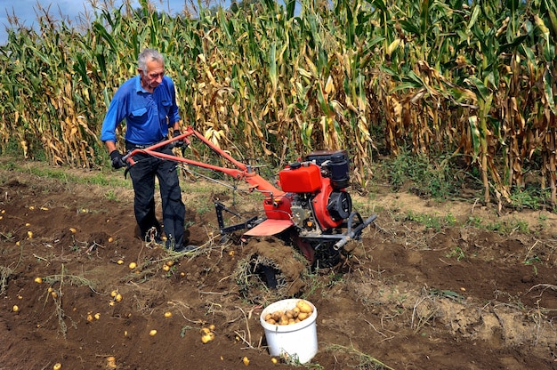 Un uomo che scava patate con l'uso di aratro e trattore.