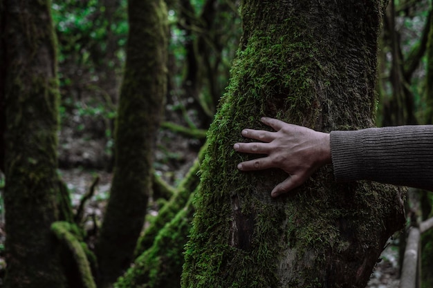 Un uomo che tocca dolcemente un tronco verde coperto di muschio La gente e la natura amano l'ambiente e fermano la deforestazione Protegge gli alberi Acarezza le piante L'ambiente e lo stile di vita naturale