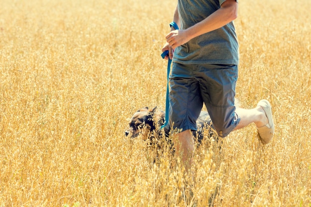 Un uomo con un cane al guinzaglio corre attraverso il campo di avena in estate