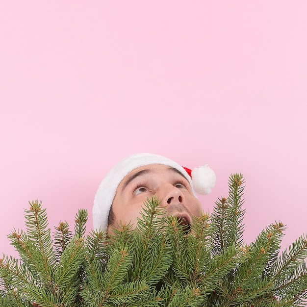 Un uomo con un cappello rosso fa capolino da dietro gli alberi di Natale e cerca un posto per il testo. Sfondo rosa, copia spazio.