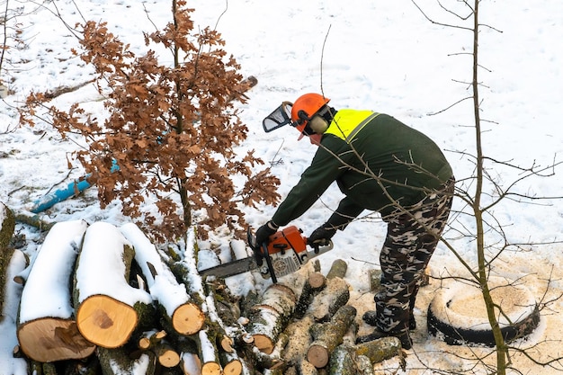 Un uomo con una motosega sega rami e tronchi d'albero La deforestazione in inverno Il lavoro di un taglialegna in condizioni invernali rigide Abbattere i vecchi alberi della città