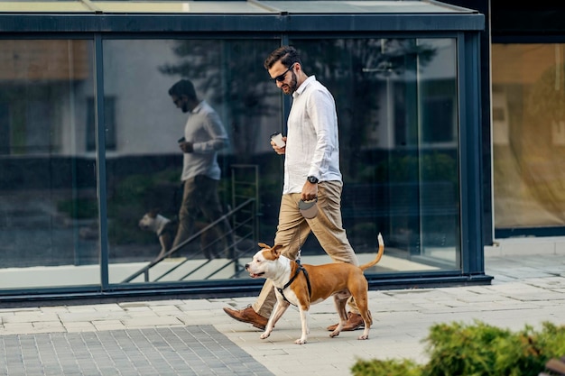 Un uomo d'affari con gli occhiali da sole vestiti in modo elegante e casual sta tenendo il caffè per andare a spasso con il suo cane