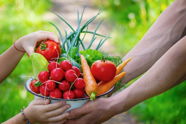 Un uomo e suo figlio in giardino con le verdure in mano