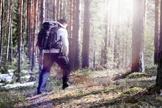 Un uomo è un turista in una pineta con uno zaino. Un'escursione attraverso la foresta. Riserva di pini per passeggiate turistiche. Un giovane in un'escursione in primavera.