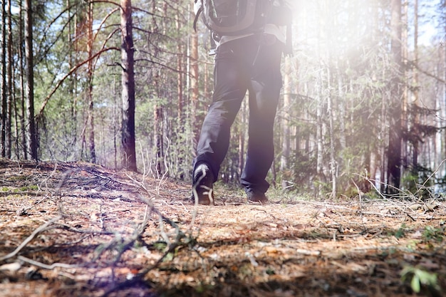 Un uomo è un turista in una pineta con uno zaino Un'escursione attraverso la foresta Riserva di pini per passeggiate turistiche Un giovane un'escursione in primavera