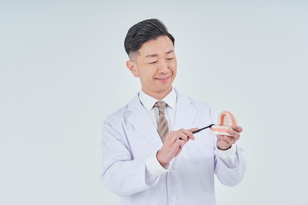 Un uomo in camice bianco con un modello dentale
