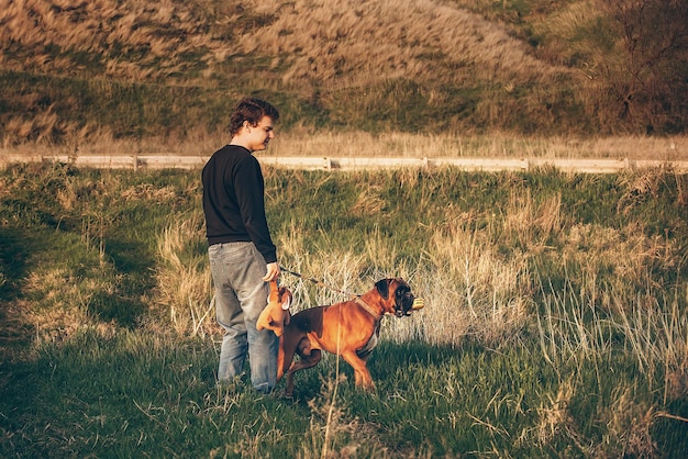 un uomo la sera in una passeggiata fuori città con il suo cane rosso della razza boxer tedesca