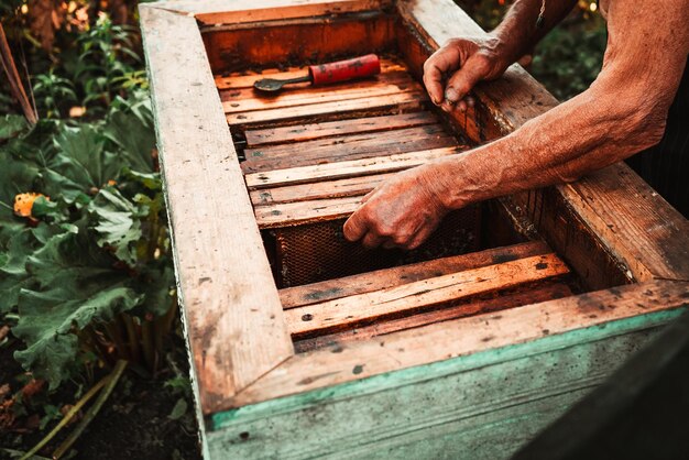 Un uomo lavora in un apiario con attrezzi vicino all'alveare con miele e api 18