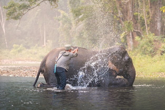 Un uomo mostra che gioca con un elefante in un fiume in Sangkhlaburi, Kanjanaburi, Tailandia