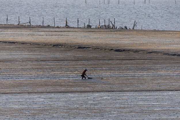 Un uomo pesce che lavora sulla spiaggia nera