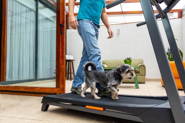 Un uomo porta a spasso il cane su un tapis roulant nel suo soggiorno