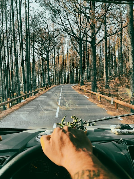Un uomo pov o le sue mani guidare un veicolo su una lunga strada panoramica alberi asfalto viaggiare e guidare camper furgone libertà e andare a destinazione concetto di stile di vita persone viaggio furgone viaggio