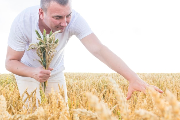 Un uomo raccoglie un raccolto di grano e cammina spensierato e divertente in un campo di grano È tempo di raccogliere La crisi alimentare nel mondo