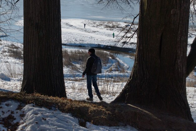 Un uomo si erge tra grandi alberi sulla riva di un lago ghiacciato