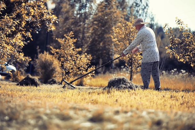 Un uomo sta rastrellando l'erba tagliata Raccolta autunnale di cereali Il nonno si prende cura del prato di una casa di campagna