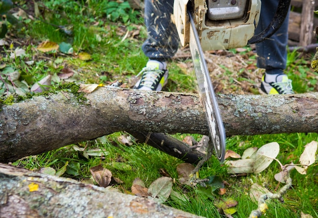 Un uomo stava bevendo un albero con una motosega. rimuove le piantagioni in giardino da vecchi alberi, raccoglie legna da ardere.