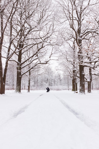 Un uomo sulla strada nel Parco Babolovsky Foresta di sfondo in inverno
