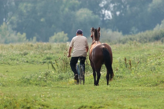 Un uomo va in bicicletta e cammina vicino a un cavallo del pascolo