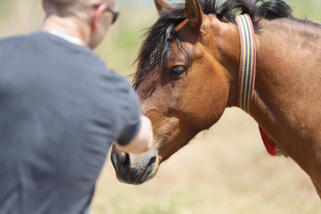 Un uomo visto da dietro accarezza il muso marrone di un cavallo