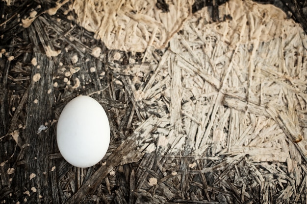 Un uovo bianco giace su un vecchio legno scuro