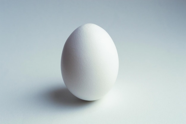 Un uovo di gallina su uno sfondo bianco si chiuda