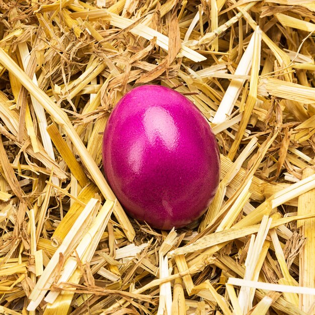 Un uovo di Pasqua di colore viola giace nella paglia. Scattata in Studio con una 5D mark III.