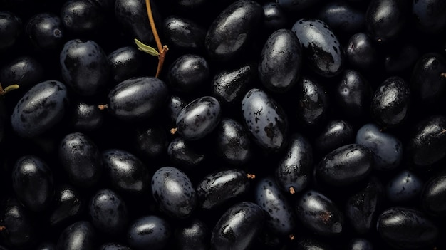 Un'uva nera con la parola olive sopra