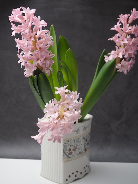 Un vaso bianco con dentro un mazzo di giacinti rosa.