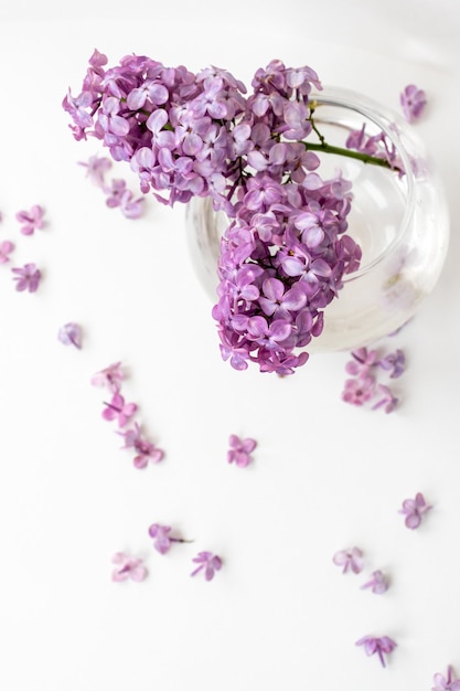 Un vaso d'acqua con fiori lilla che galleggiano dentro