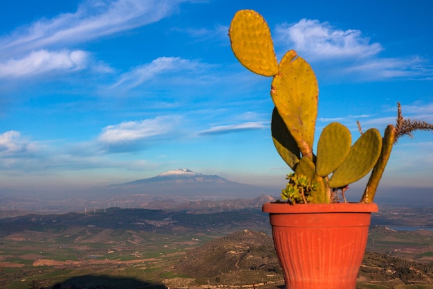 Un vaso di pera spinosa e il vulcano Etna Aidone